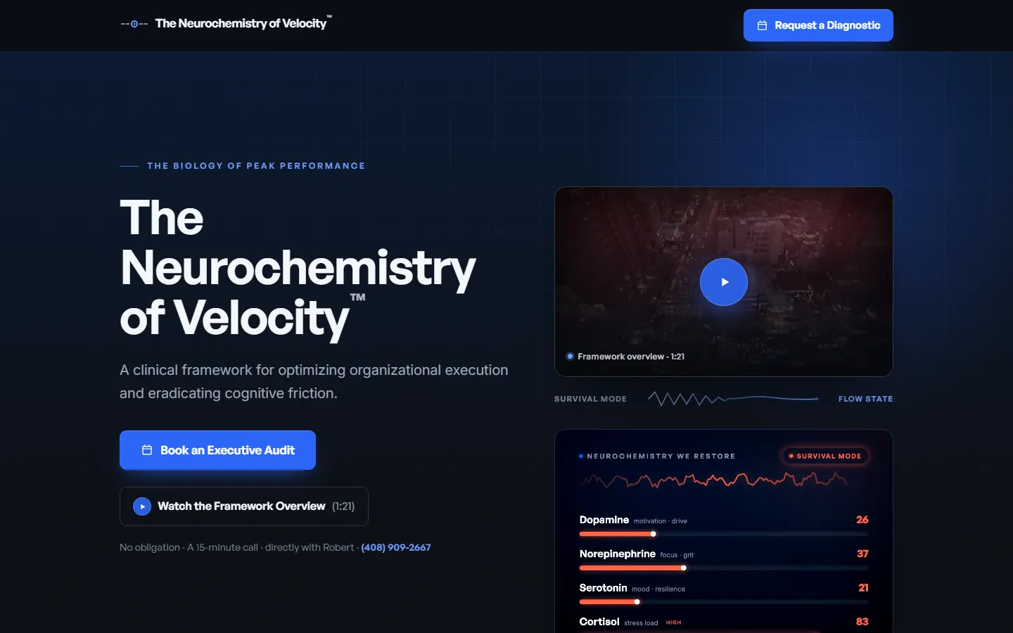 Executive Flow website